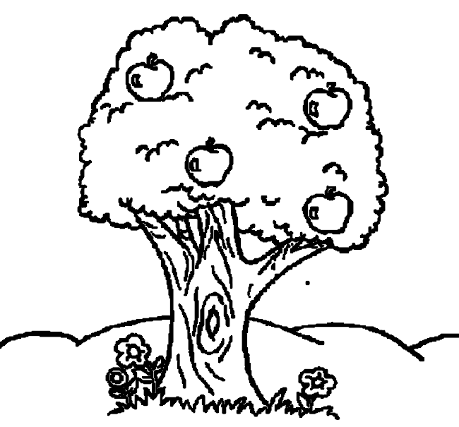 Boyama Sayfası